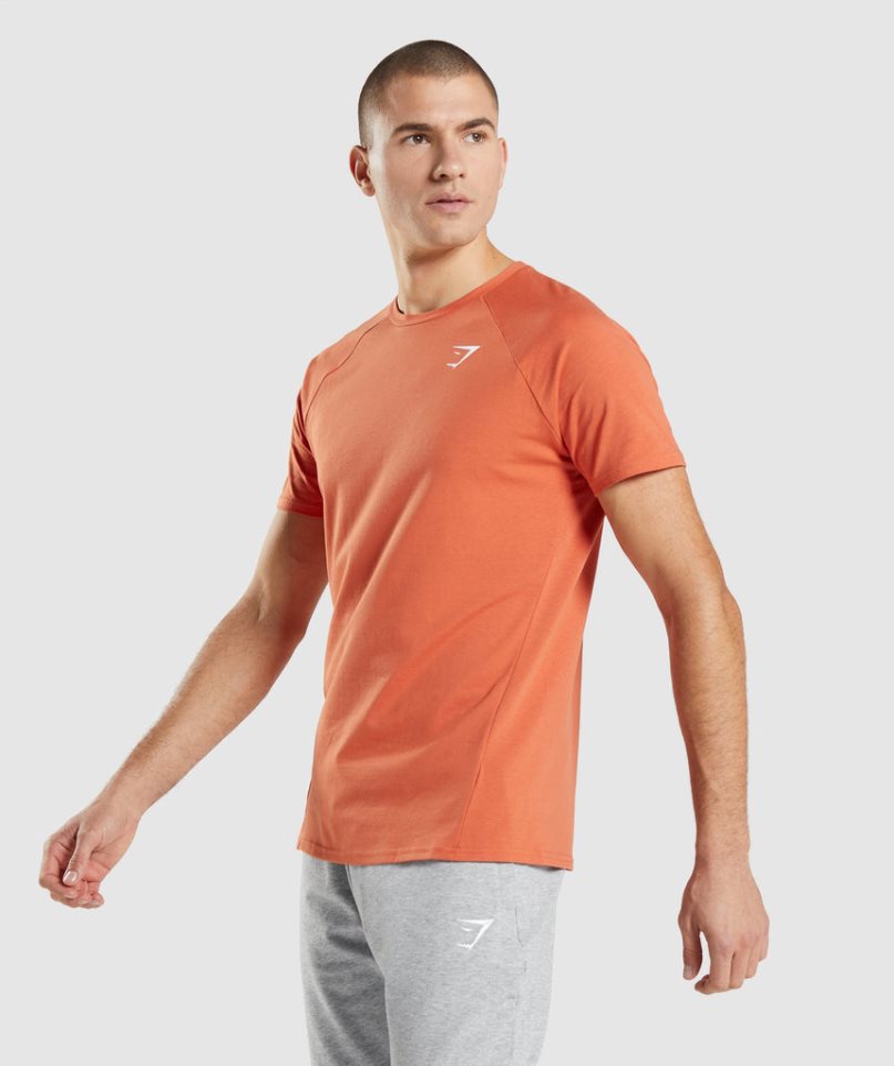 Men's Gymshark Critical T-Shirts Orange | CA A7083D